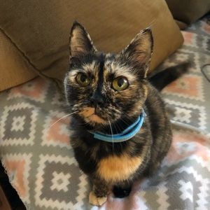 Meet your Posher, Ashley